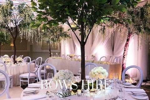 180cm Ficus Tree for hire, centrepieces by Bows Hire