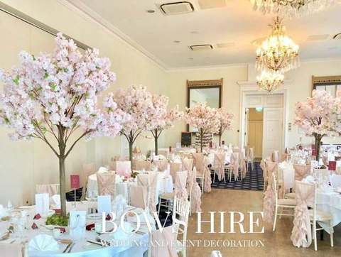 Mink Chiffon Hood with Tail for hire, chair accessories by Bows Hire
