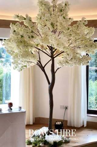 280cm Cream Blossom Trees for hire, trees by Bows Hire