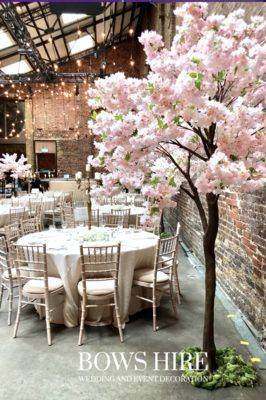 280cm Pink Blossom Trees