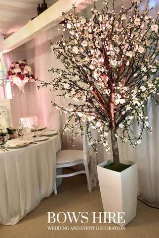 220cm Blossom Trees in White Pot for hire, trees by Bows Hire