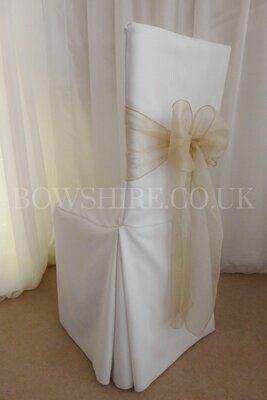 Champagne Organza Sash for hire by Bows Hire