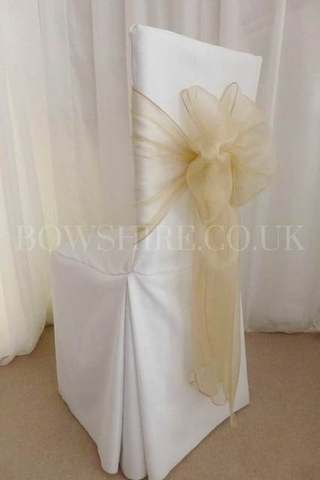 Champagne Wide Organza Sash for hire, sashes by Bows Hire