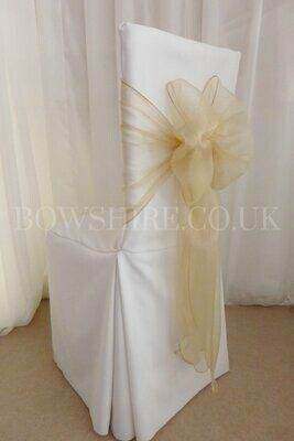 Champagne Wide Organza Sash for hire by Bows Hire