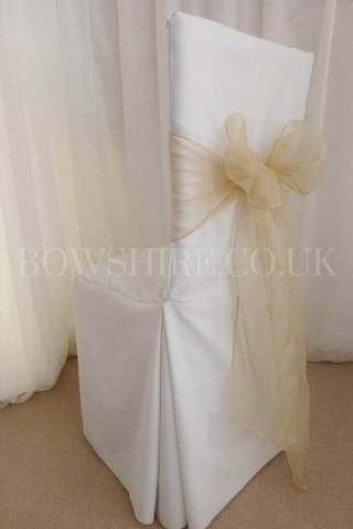 Gold Organza Sash for hire, sashes by Bows Hire