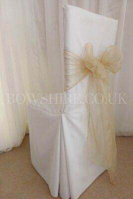 Gold Organza Sash for hire by Bows Hire