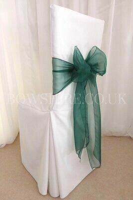 Hunter Organza Sash for hire by Bows Hire