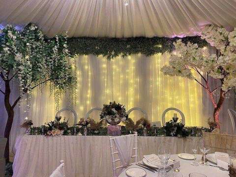 Starlight Backdrop with Eucalyptus for hire, backdrops by Bows Hire