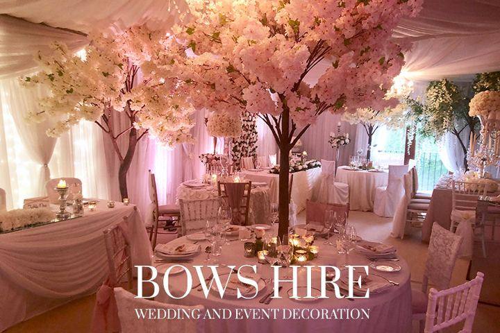 Wedding tree hire in Hastings from Bows Hire